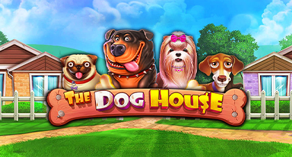 The Dog House